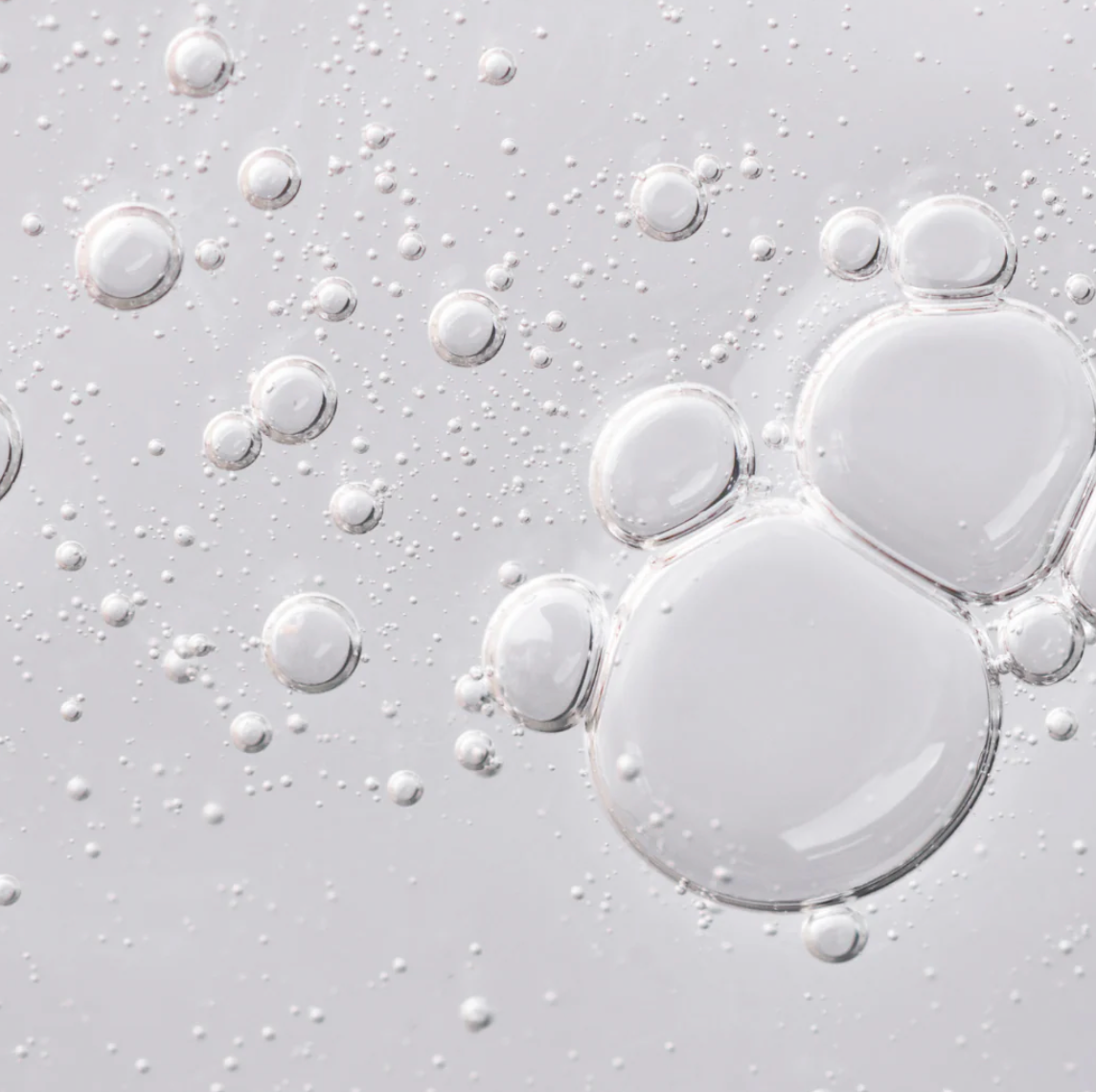 N°2 - The Eternal Serum