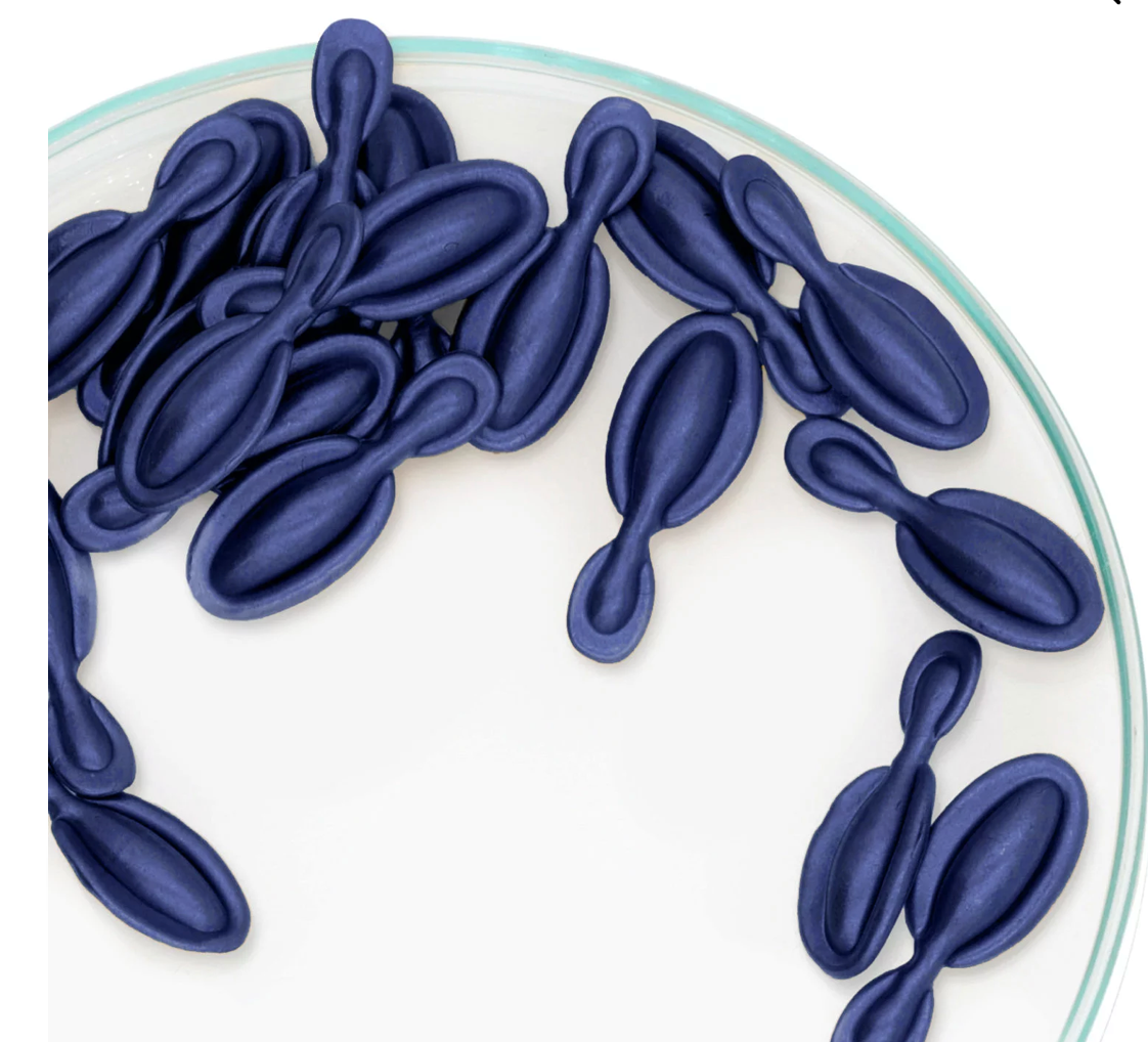 ELIXIR SERUM CAPSULES