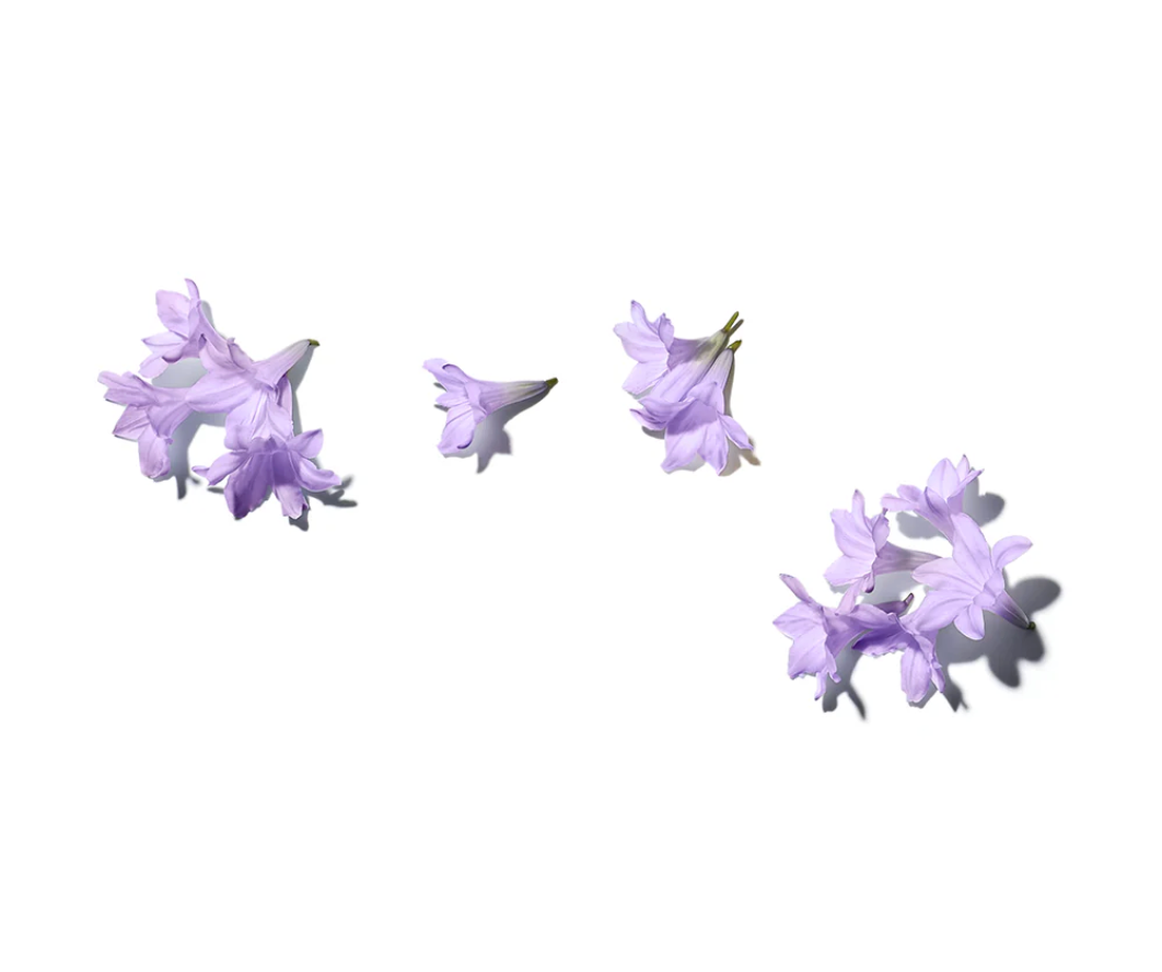 JACARANDÁ CALMING SHOWER GEL 500ML